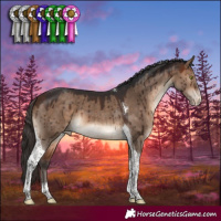 Horse Color:Bay Dun Sabino Tobiano Varnish Brindle