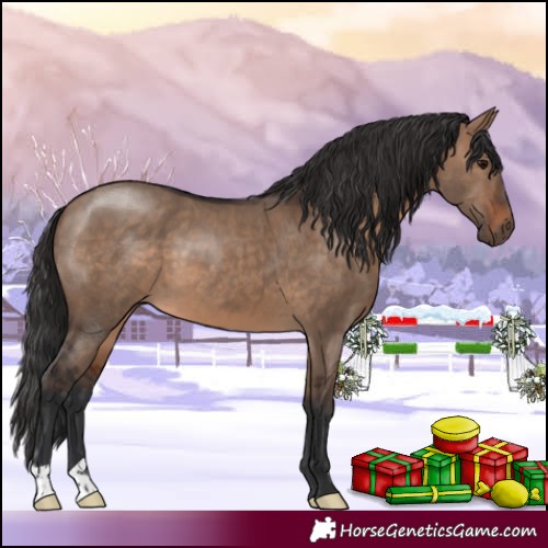 Horse Color:Brown Dun 