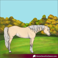 Horse Color:Silver Buckskin Dun Tobiano 