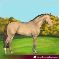 Horse Color:Amber Cream Champagne 