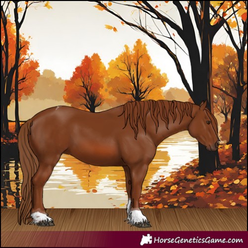 Horse Color:Chestnut Tobiano