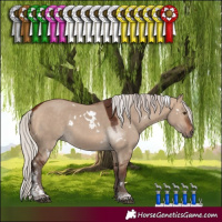 Horse Color:White Spotted Silver Bay Dun Tobiano 