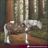 Horse Color:White Spotted Silver Brown Dun Tobiano 