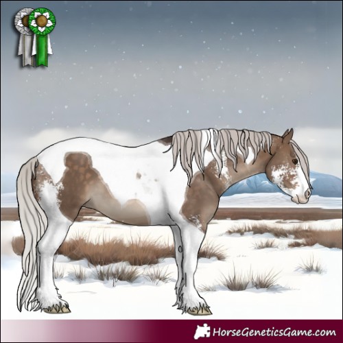 Horse Color:Silver Brown Dun Sabino Tobiano