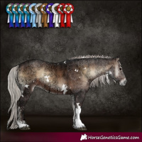 Horse Color:White Spotted Silver Brown Ice Onyx Tobiano