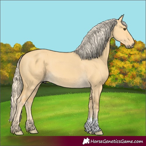 Horse Color:Palomino Dun