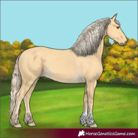 Horse Color:Palomino Dun 