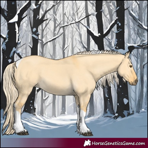 Horse Color:Palomino Dun Tobiano 