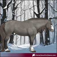 Horse Color:Grullo Varnish 