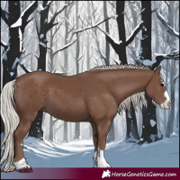 Horse Color:Silver Black 