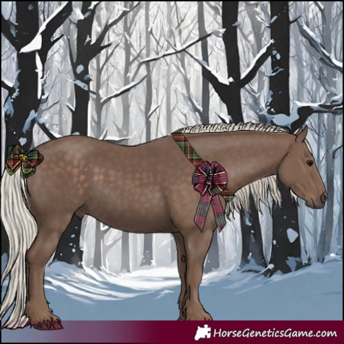 Horse Color:Silver Black