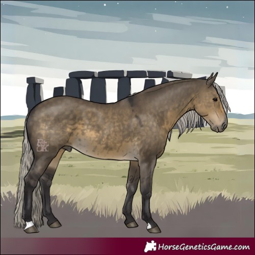 Horse Color:Silver Smoky Grullo 