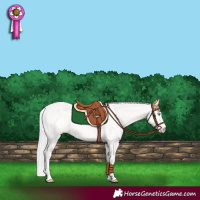 Horse Color:Silver Perlino Dun 