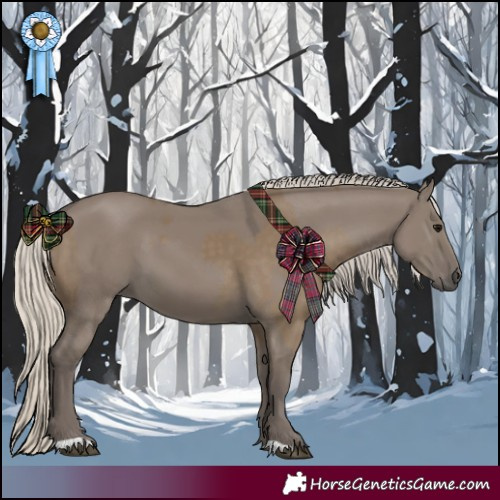 Horse Color:Silver Smoky Black  and Silver Smoky Grullo 