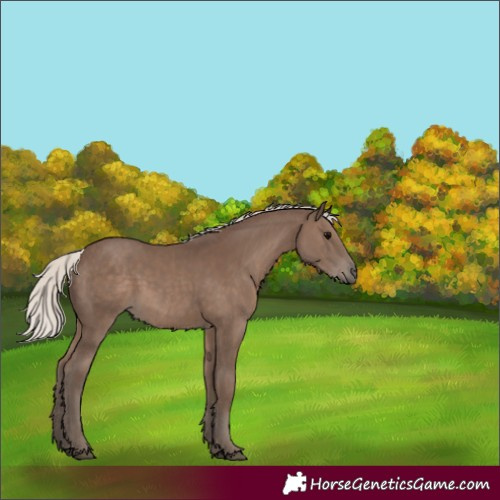 Horse Color:Silver Black 