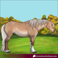 Horse Color:Silver Bay Dun Tobiano Rabicano 