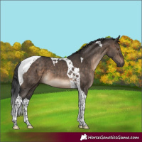 Horse Color:Brown Dun Tobiano Brindle 