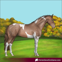 Horse Color:Brown Pearl Mushroom Tobiano 