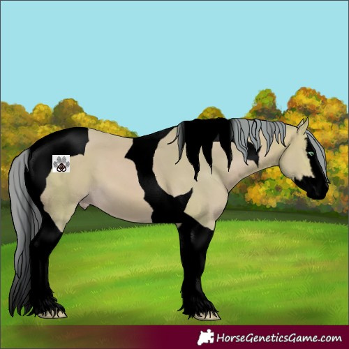 Horse Color:Void Watercolor Amber Cream Champagne Splash Tobiano 