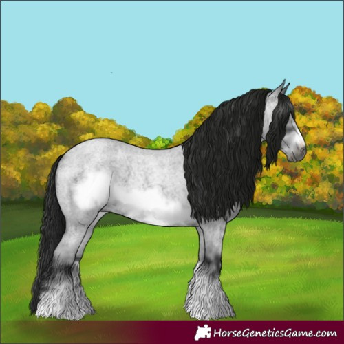 Horse Color:Gray Blue Roan Sabino Frame 