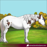Horse Color:Plaid  White Spotted Bay Ice Splash Tobiano 