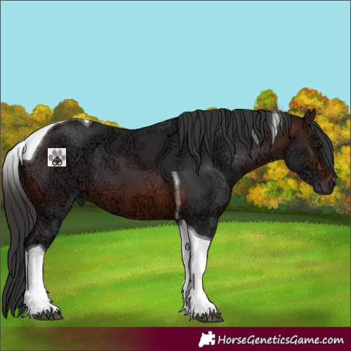 Horse Color:Brown Ice Tobiano 