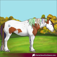 Horse Color:Painted Bay Splash Tobiano 