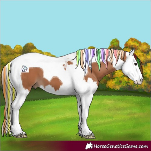 Horse Color:Painted Bay Splash Tobiano 