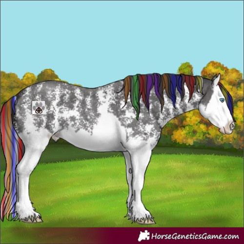 Horse Color:Painted Smoky Black Sabino Splash 