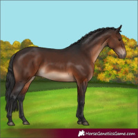 Horse Color:Brown 
