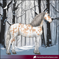 Horse Color:Silver Bay Dun Tobiano Near Leopard Rabicano 