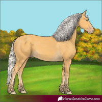 Horse Color:Silver Amber Cream Champagne 