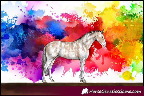 Horse Color:Amber Champagne Sabino