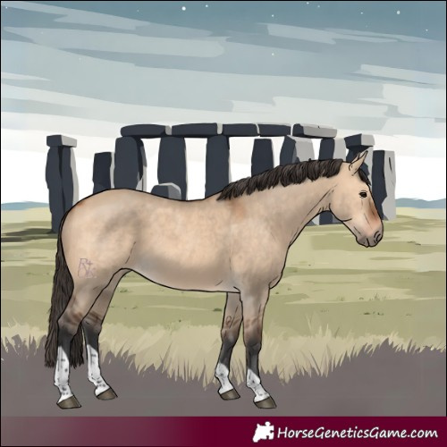 Horse Color:Bay Dun Tobiano Rabicano 