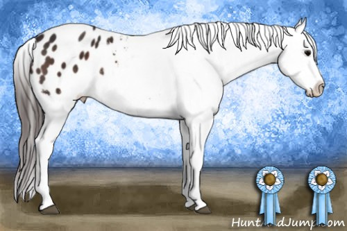 Horse Color:Brown Sabino Splash Varnish 