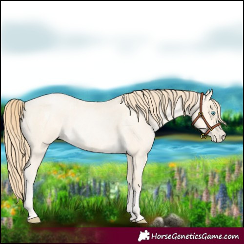 Horse Color:Buckskin Roan Pearl and Buckskin Roan Pearl