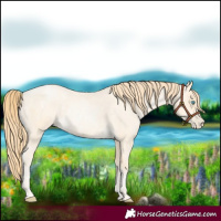 Horse Color:Buckskin Roan Pearl and Buckskin Roan Pearl