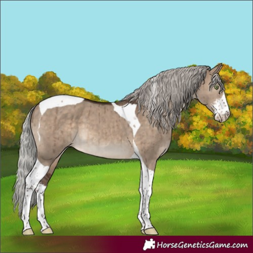 Horse Color:Silver Brown Dun Sabino Tobiano Brindle 