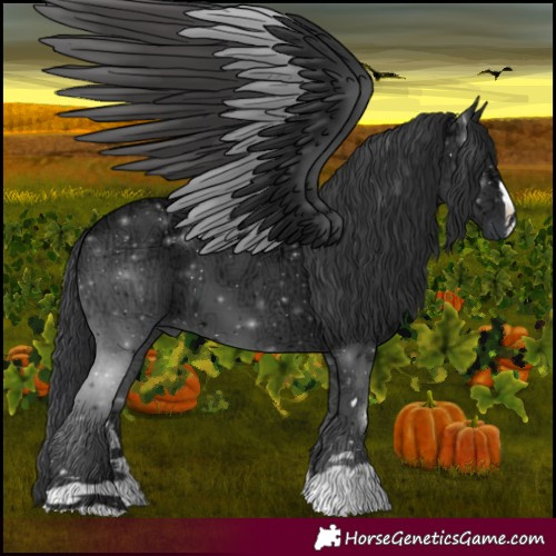 Horse Color:Black Ice 