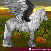 Horse Color:Liver Chestnut Chinchilla Ice