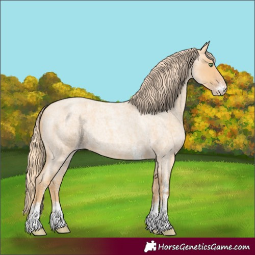 Horse Color:White Spotted Gold Champagne Roan 