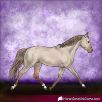 Horse Color:Red Dun Varnish 