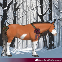 Horse Color:Bay Splash Frame 