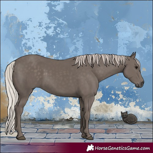 Horse Color:Silver Black