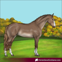 Horse Color:Liver Red Dun