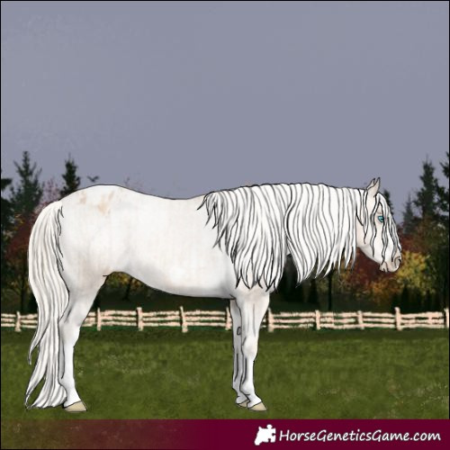 Horse Color:Chocolate Palomino Pearl Tobiano Frame Appaloosa  and Palomino Pearl Tobiano Frame Appaloosa 