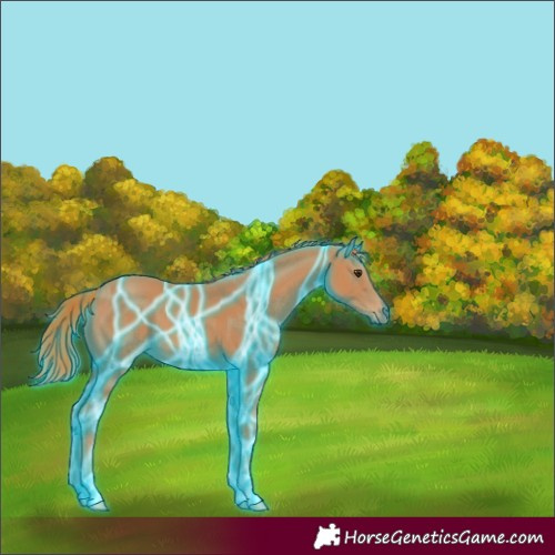 Horse Color:Thunderstruck Chestnut 