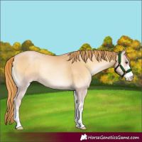 Horse Color:Red Onyx Pearl