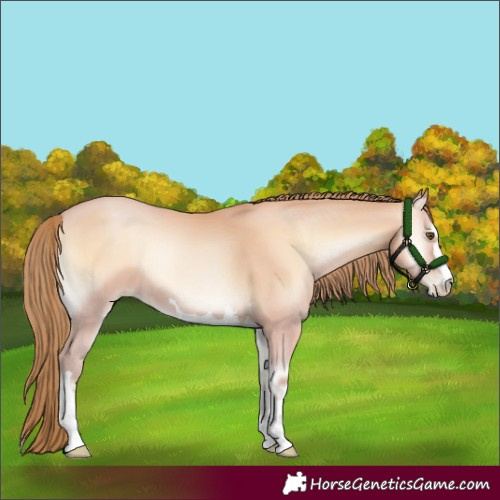 Horse Color:Bay Pearl Onyx Mushroom 