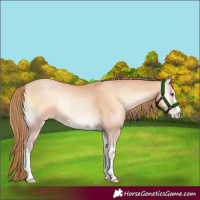 Horse Color:Bay Pearl Onyx Mushroom 